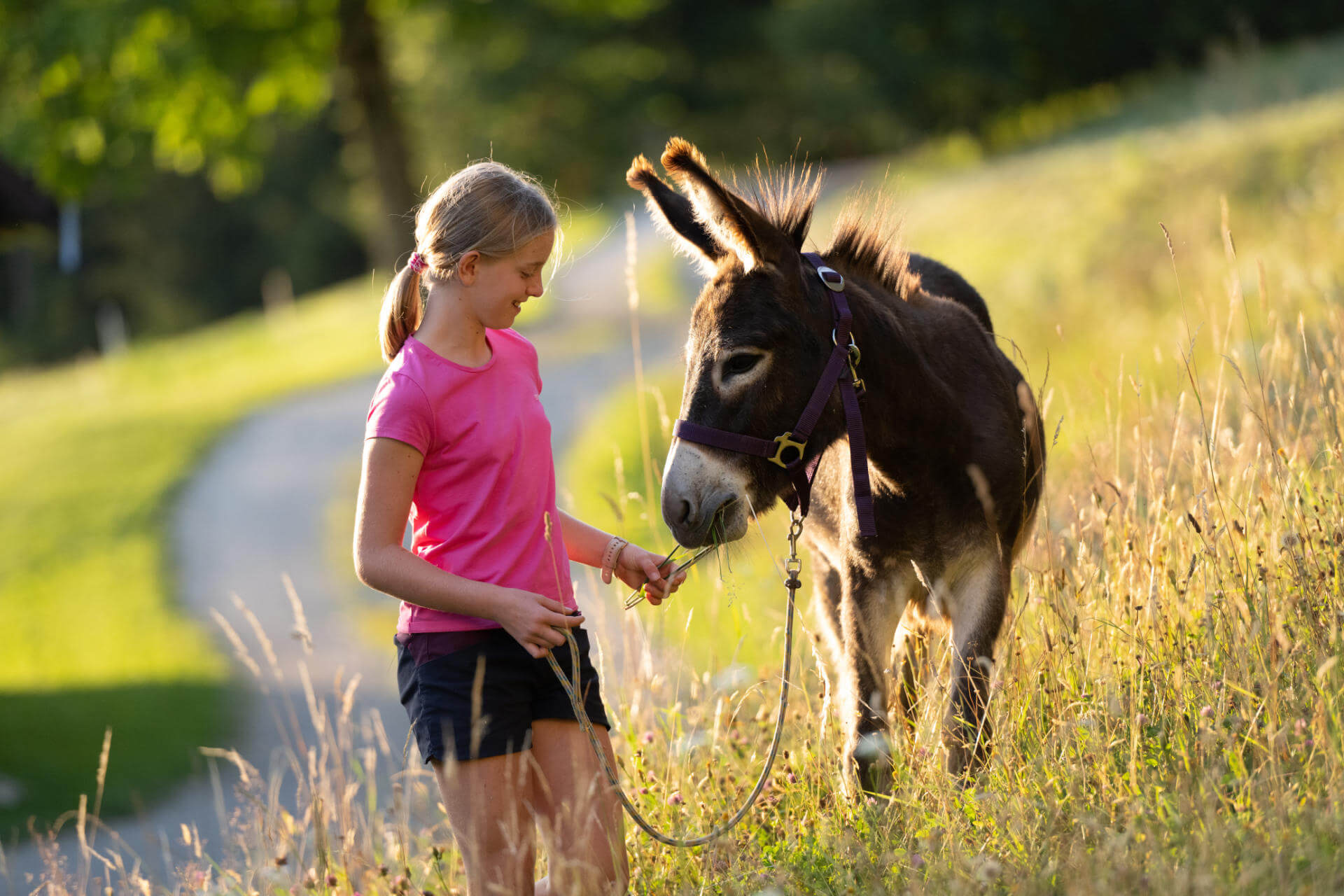 Otroci z veseljem pomagajo pri sprehajanju oslička.
