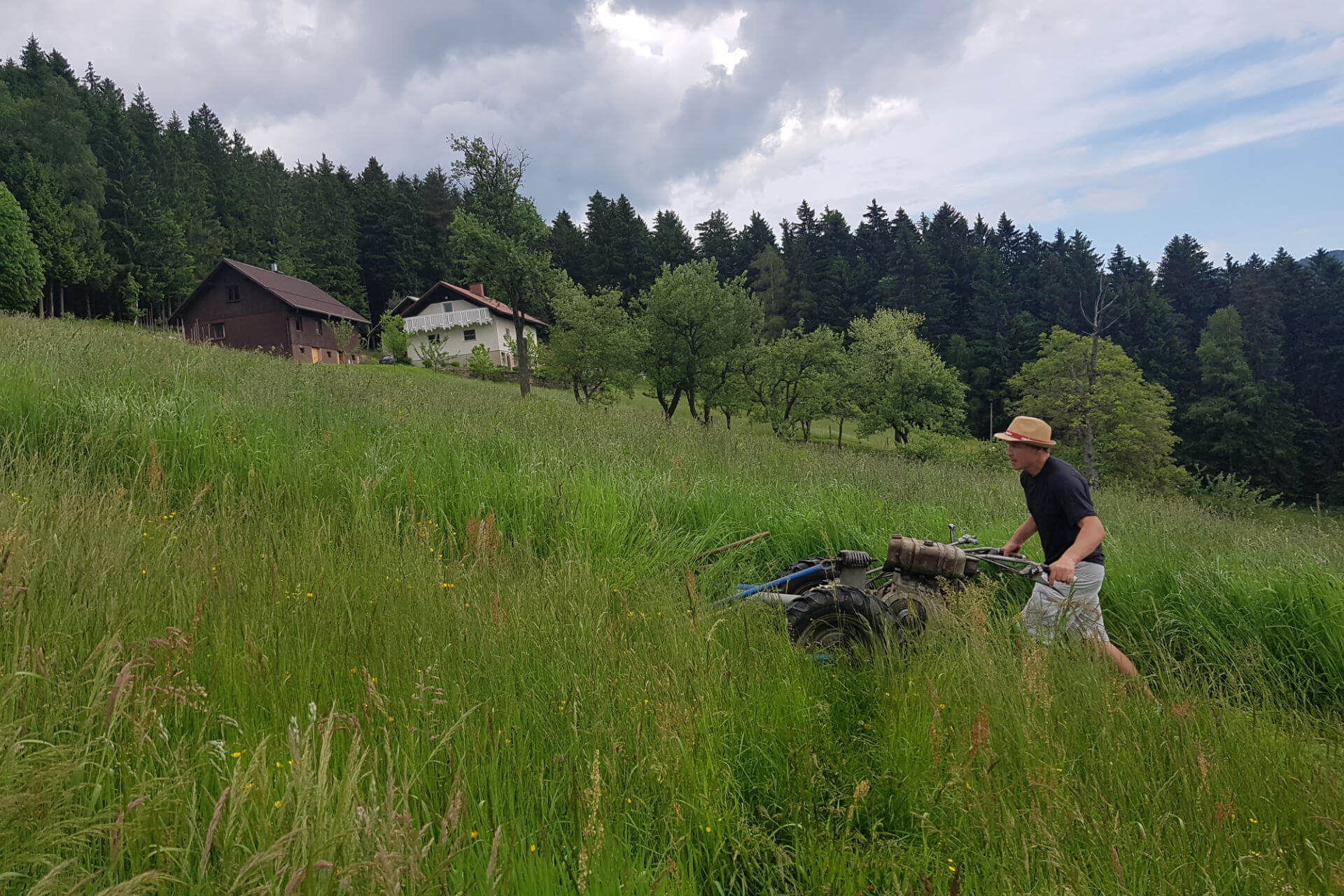Gostitelj Marko skrbno kosi travo, ureja okolica in opravlja druga dela na kmetiji